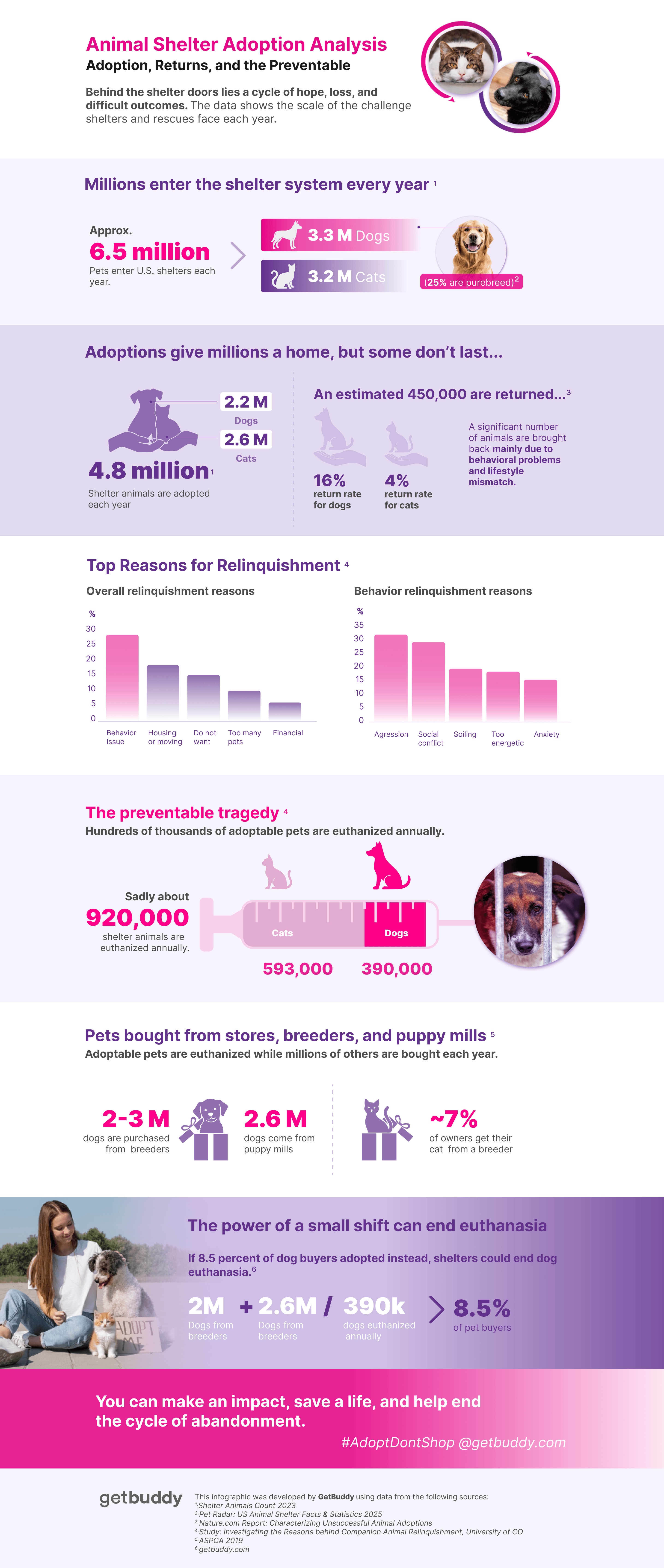 Animal Shelter Adoption Analysis: Adoption, Returns, and the Preventable