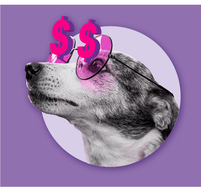 Pet Owner Financial Analysis