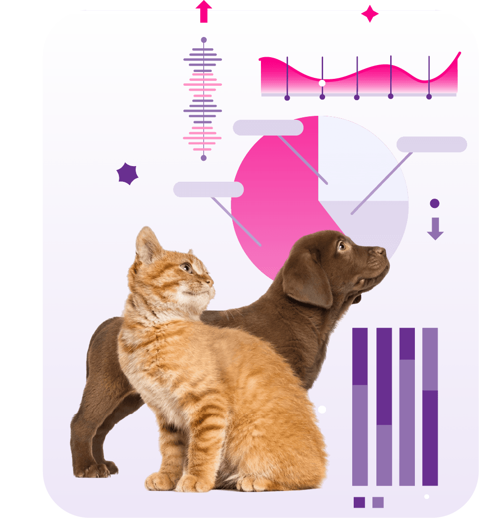 Pets with data visualization graphics
