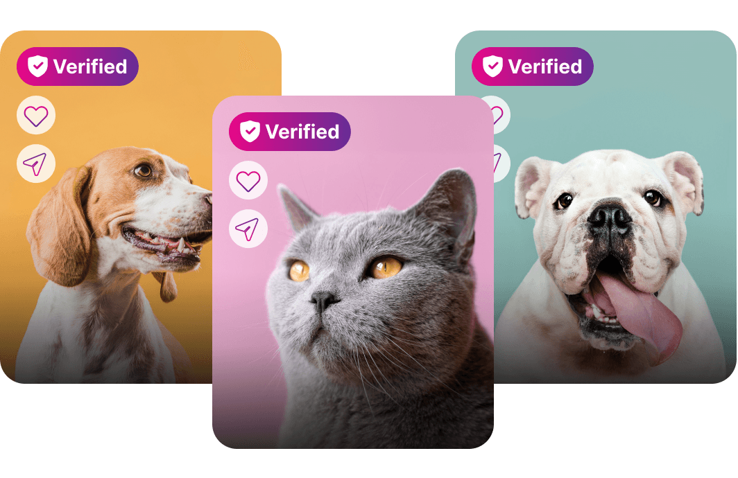 Verified pet profiles on GetBuddy