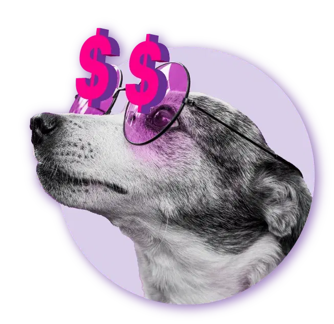 Dog wearing money-sign glasses