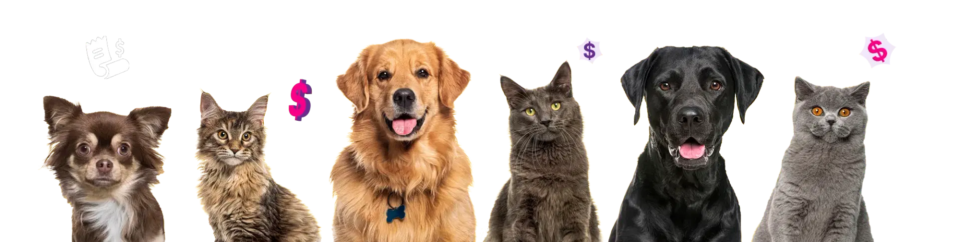 Dogs and cats together with money icons