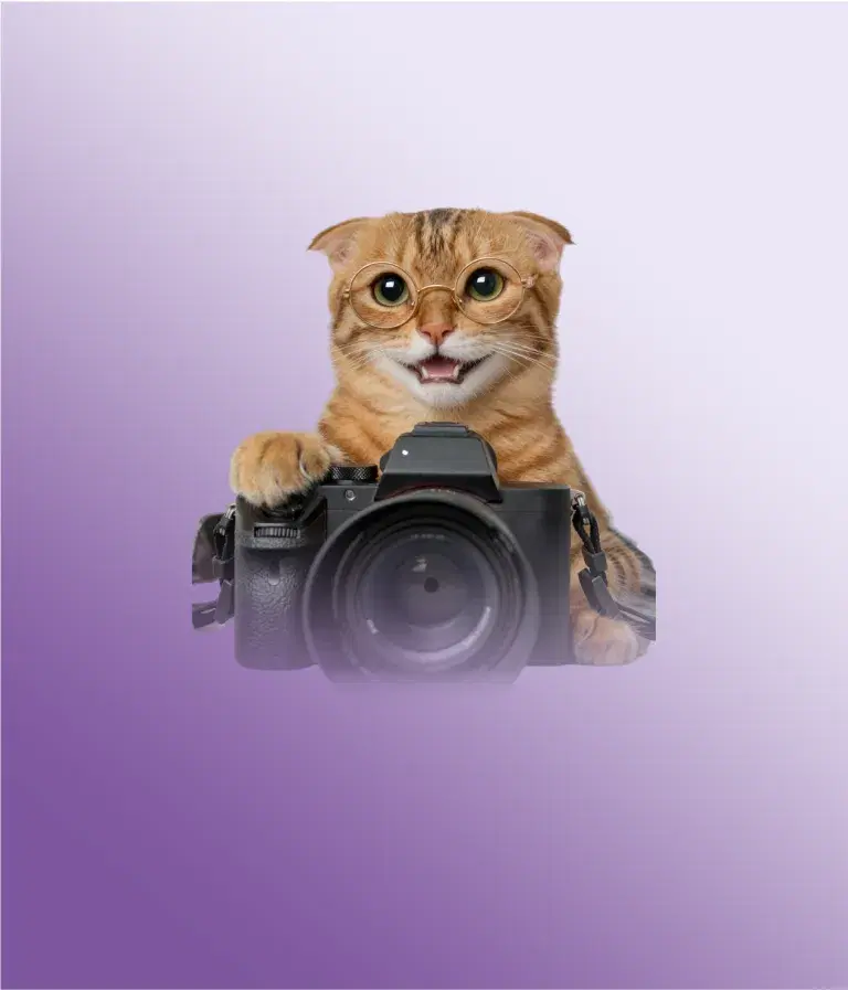 Poppy: photo coming soon