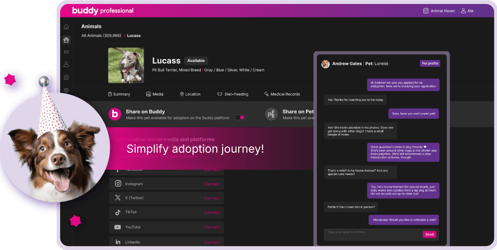 Buddy's Rescue Management System Overview