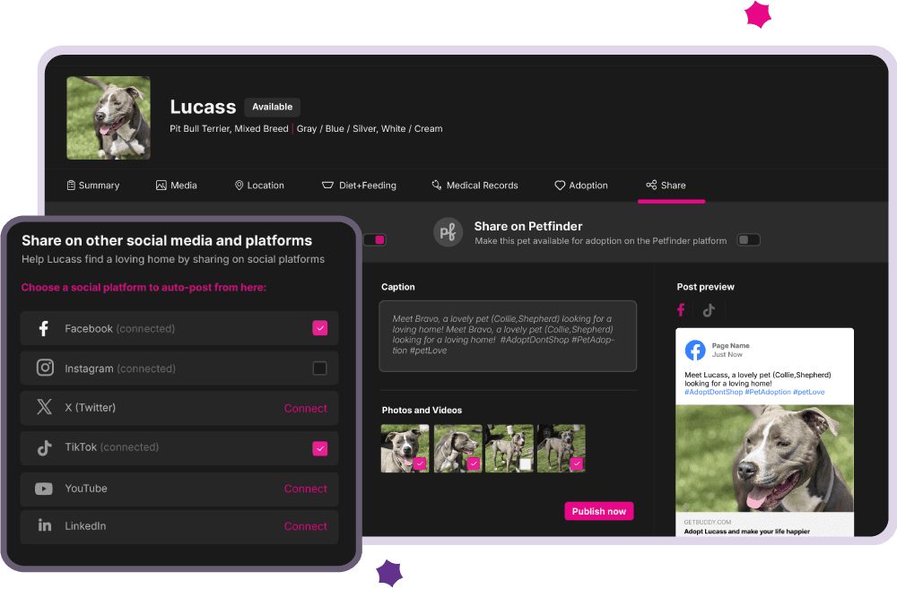 Social & Website Integration