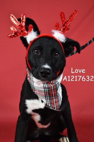 Ruby Longtime Resident!