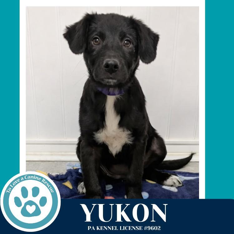 Yukon