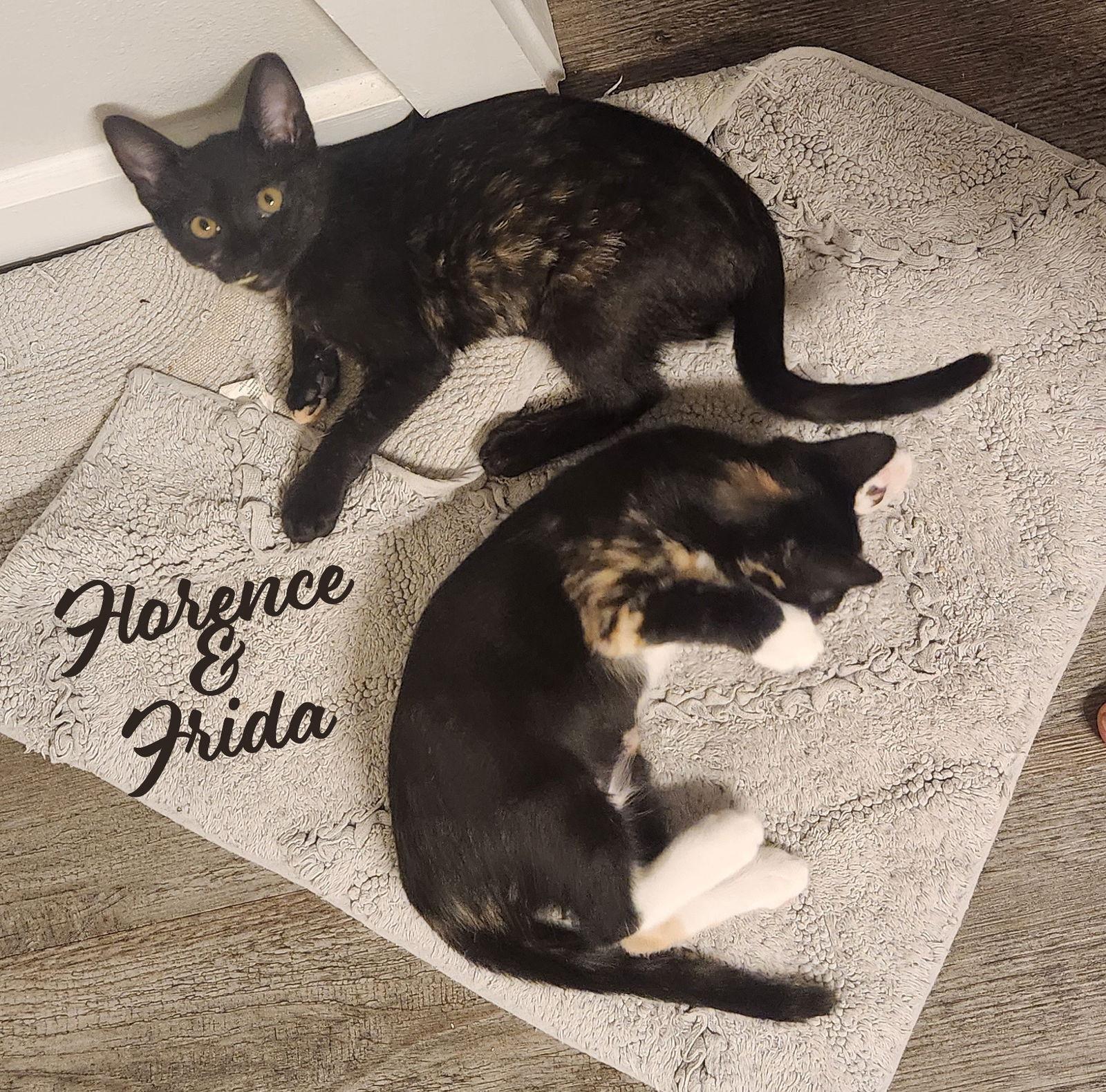 Florence & Frida Bondedsisters