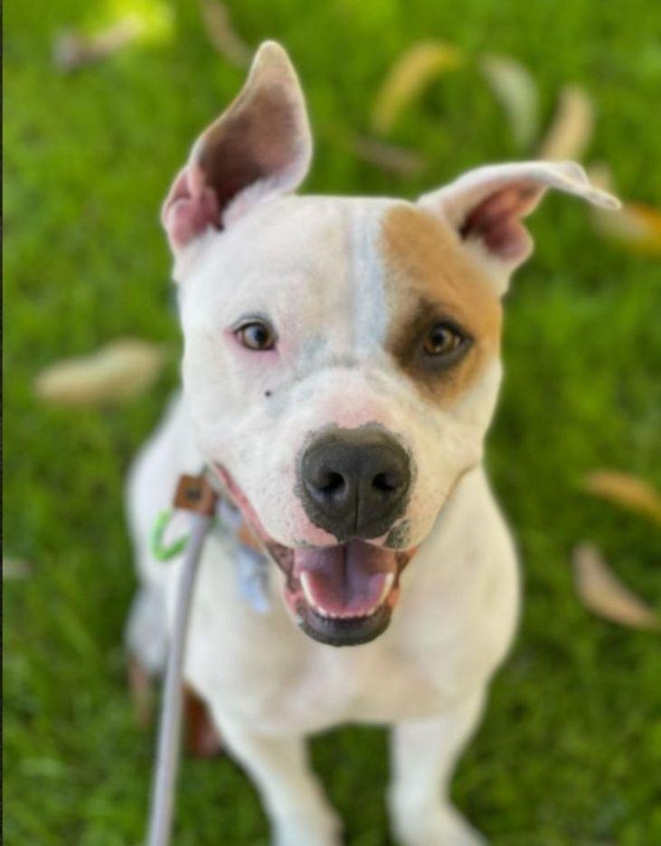 Marvin Baywatch Boy!!