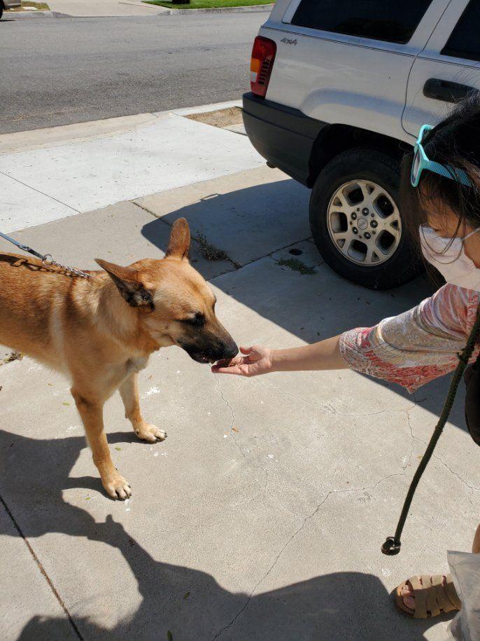 Tuckerman Superman Part !