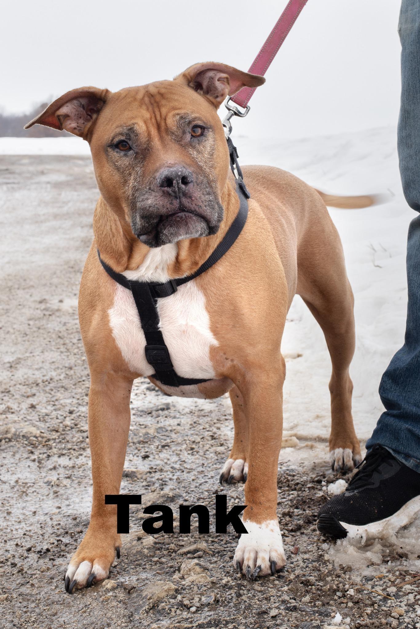 Tank Is Bonded With