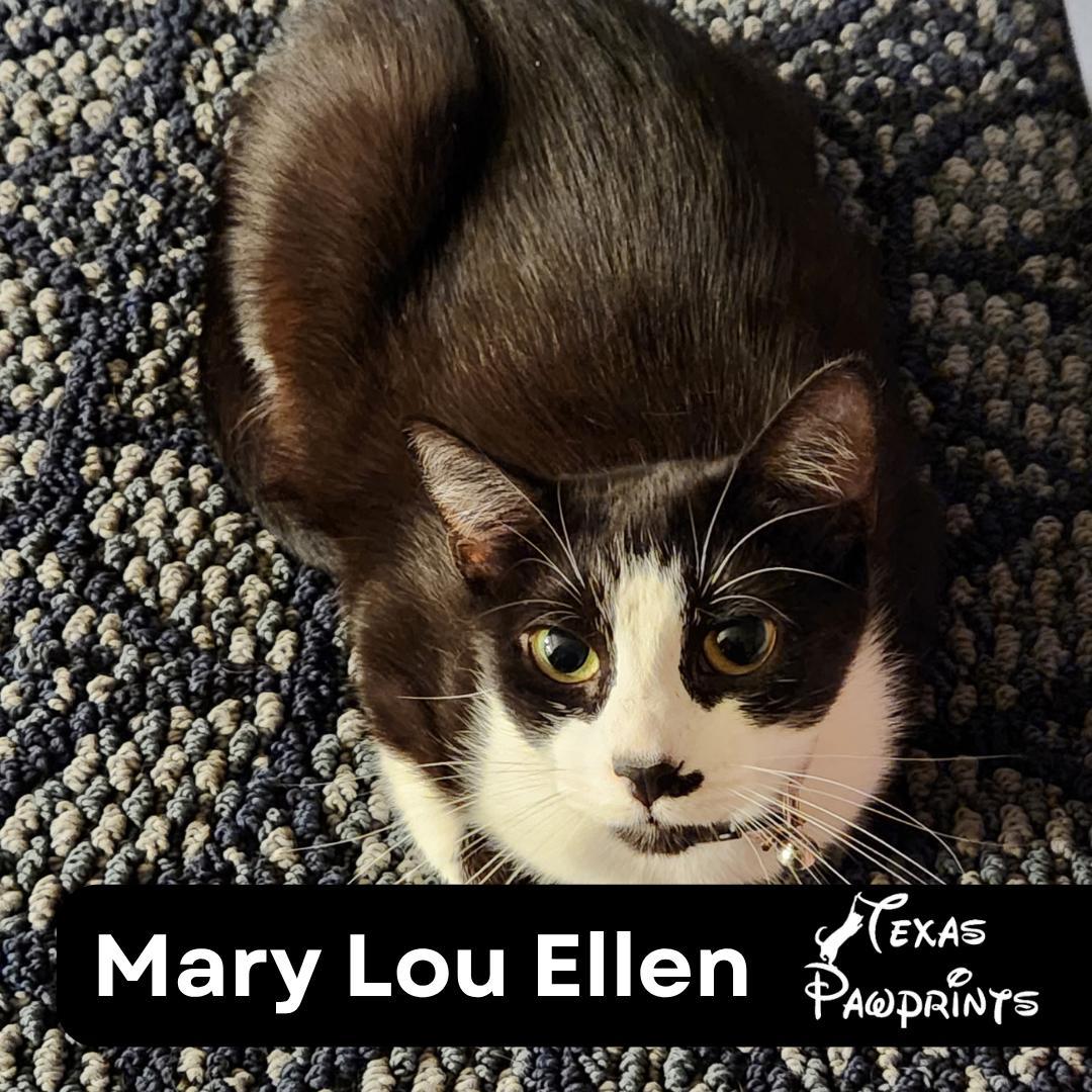 Mary Lou Ellen