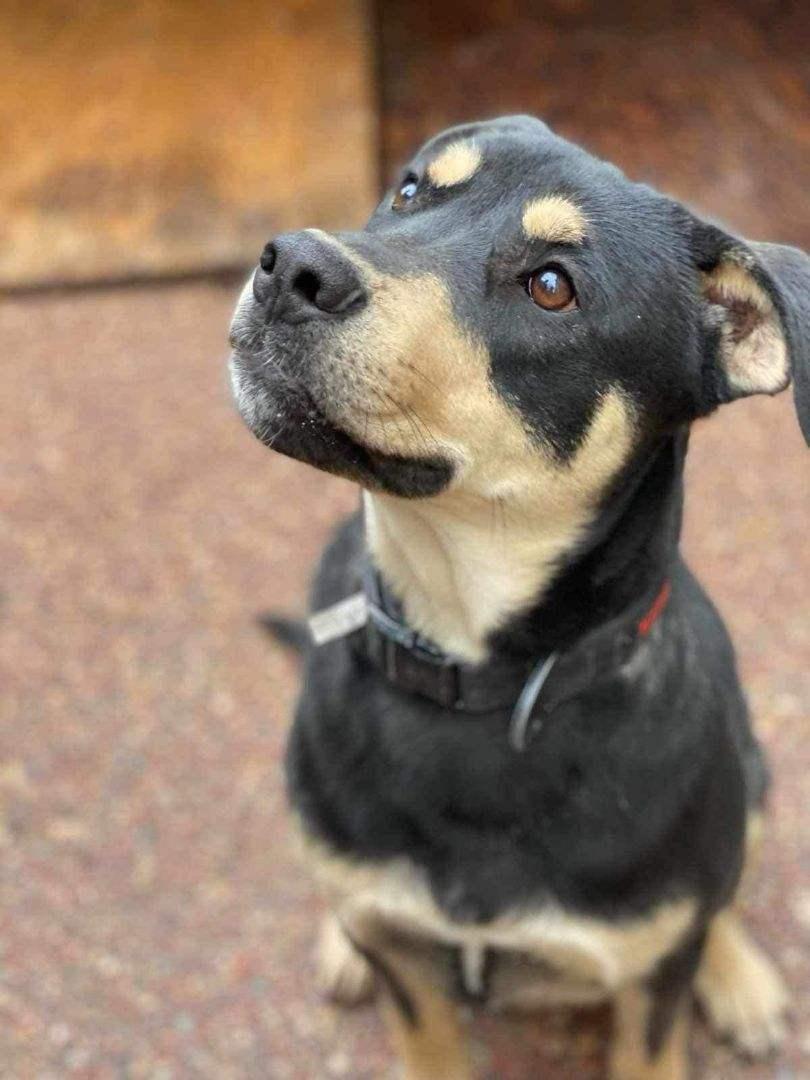 Buddymodesto Ca Crosspost