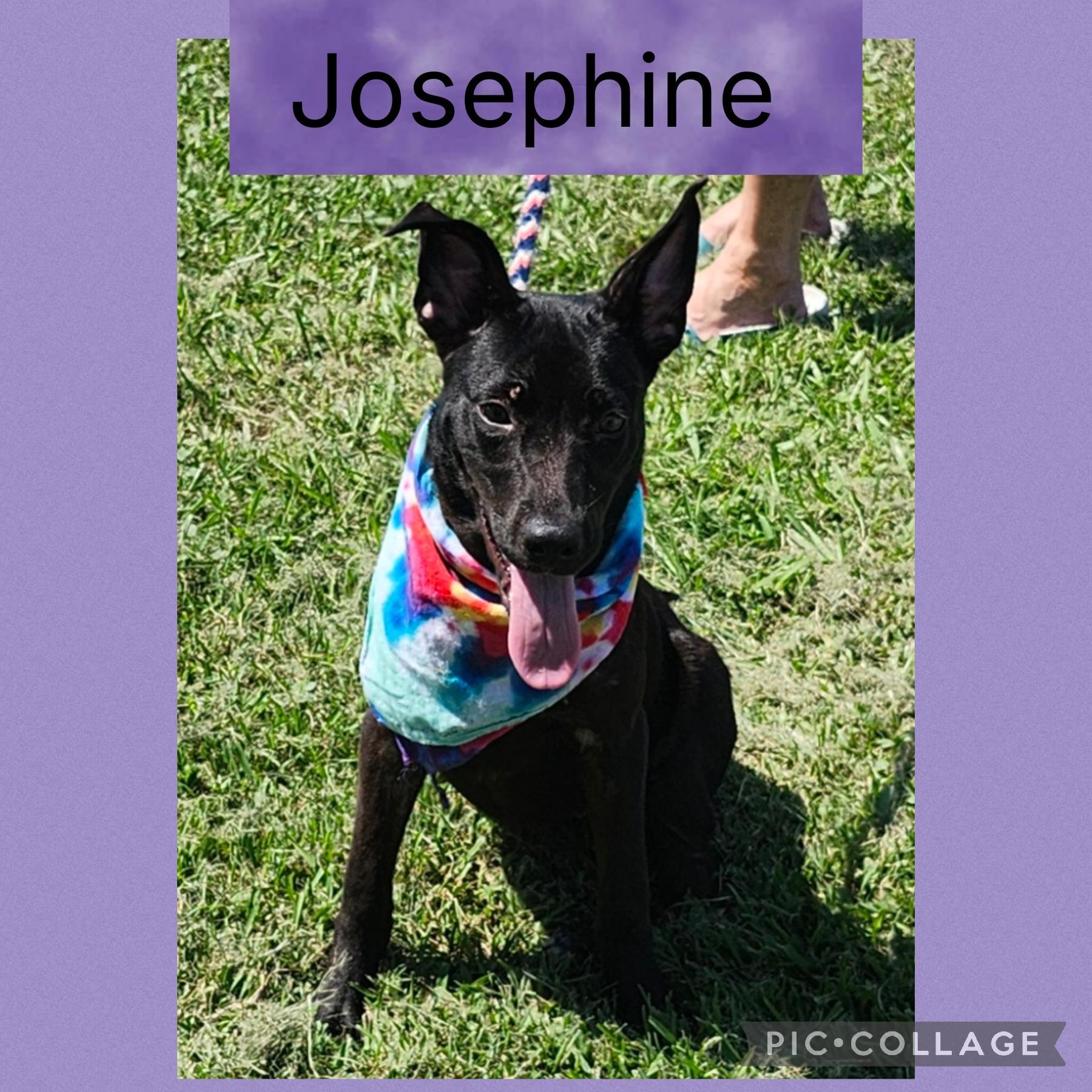 Josephine