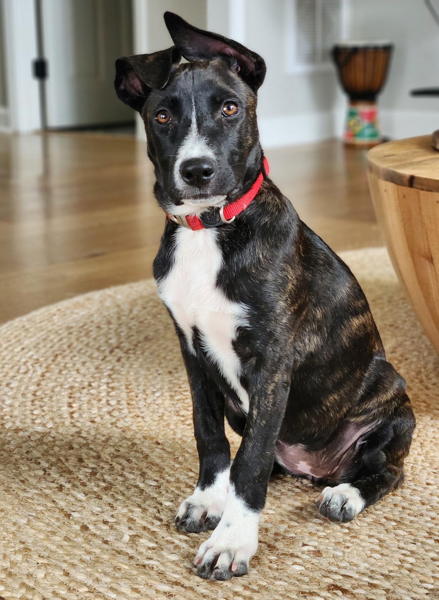 Lady Margaret “maggie”