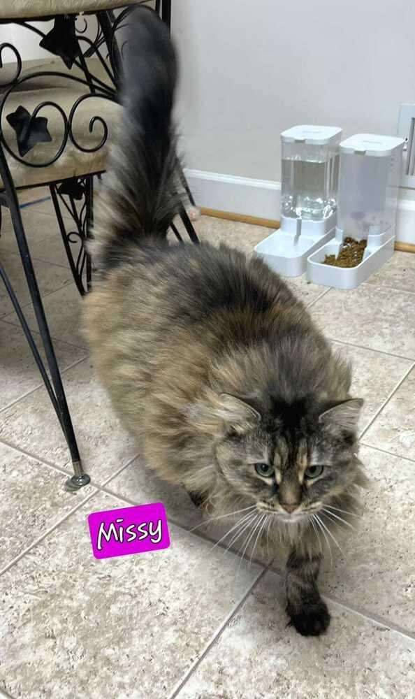 Missy