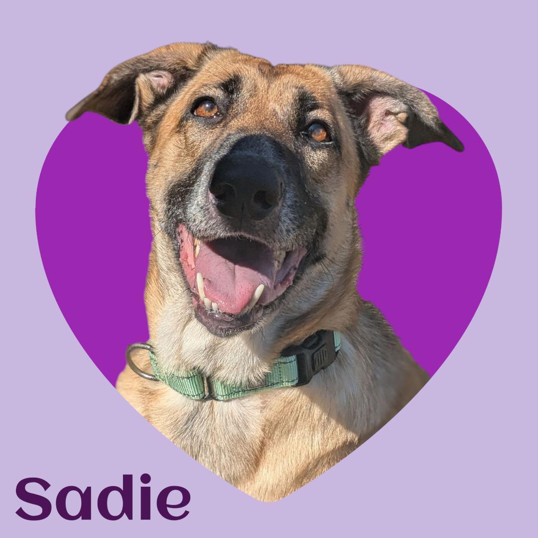Sadie Meet By