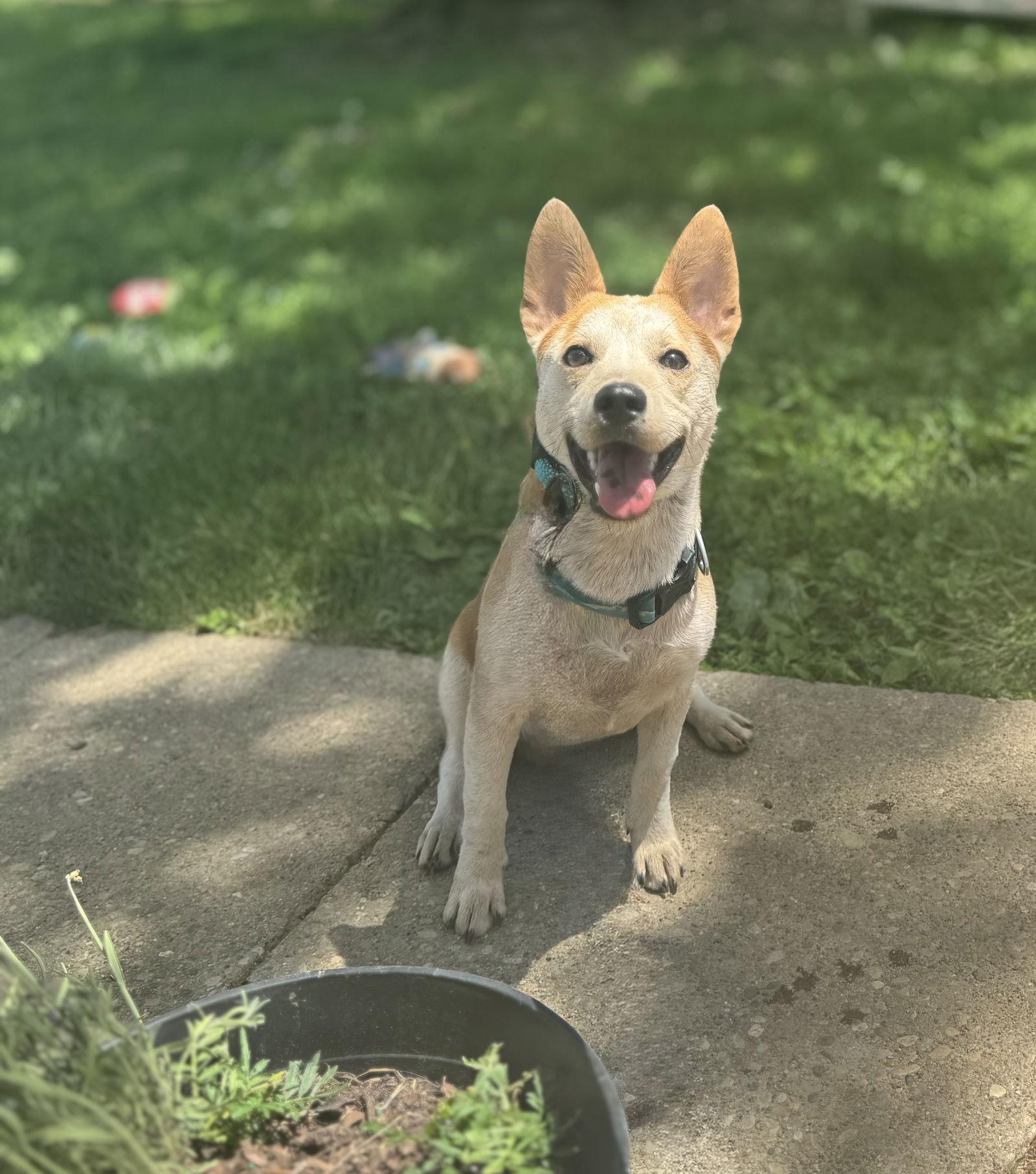 Charlie I'm Always Smiling