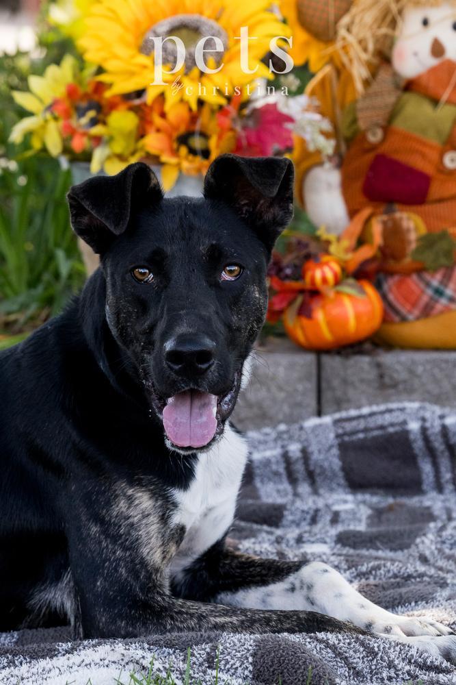 Loki Aka Lil Jonathan