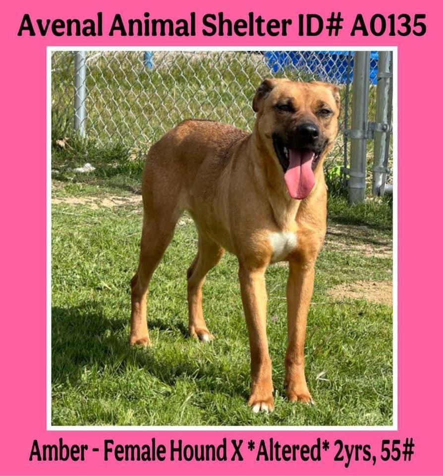 Amber