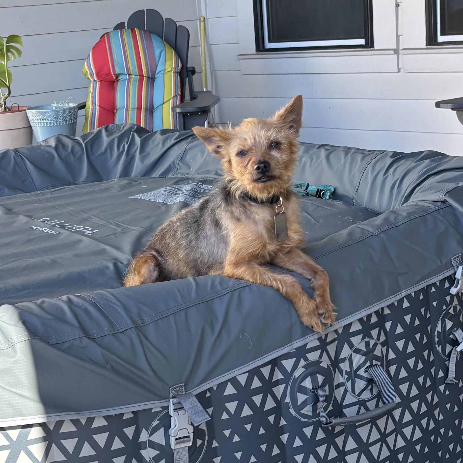 Hubert The Best photo 1