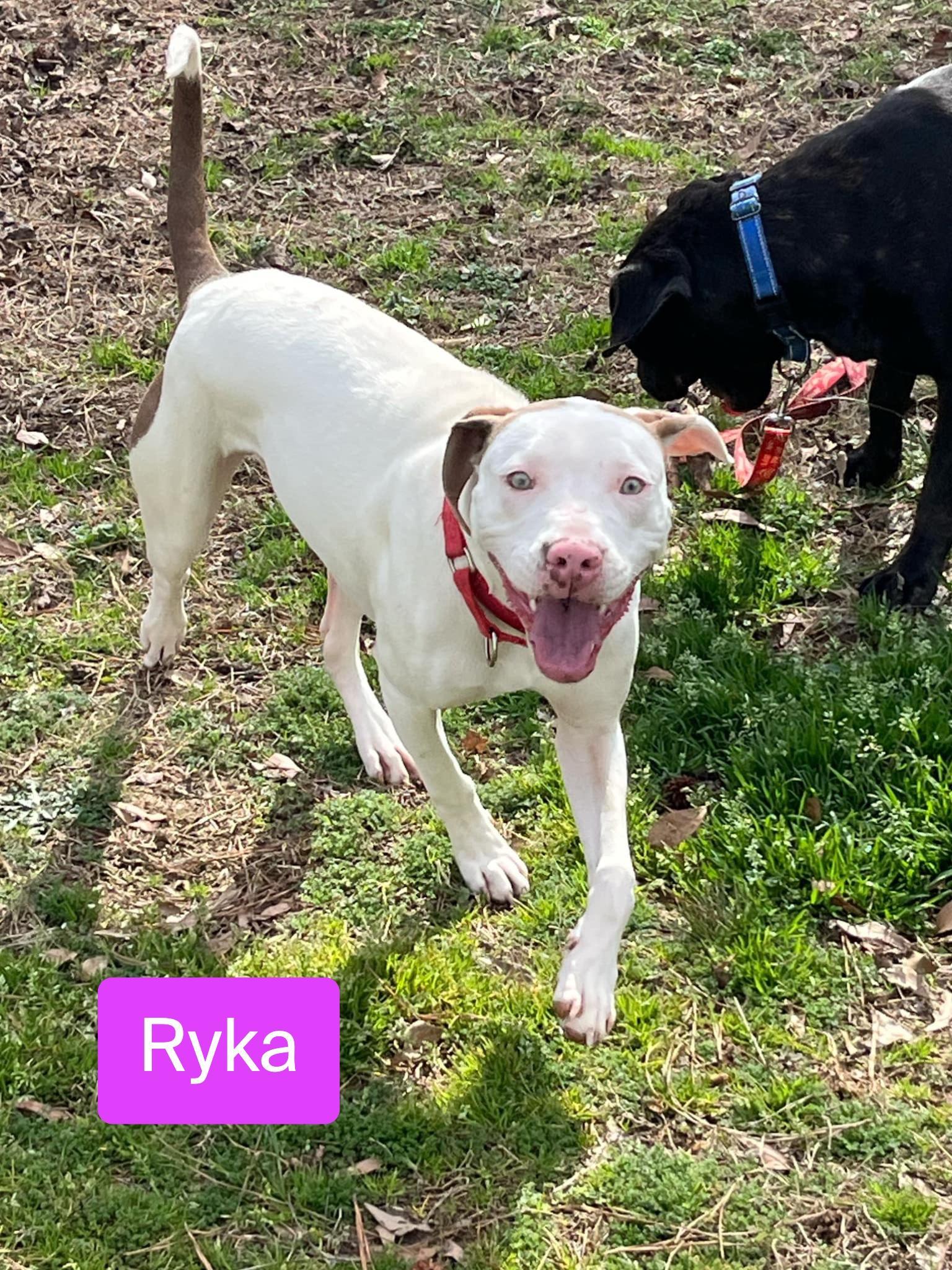 Ryka