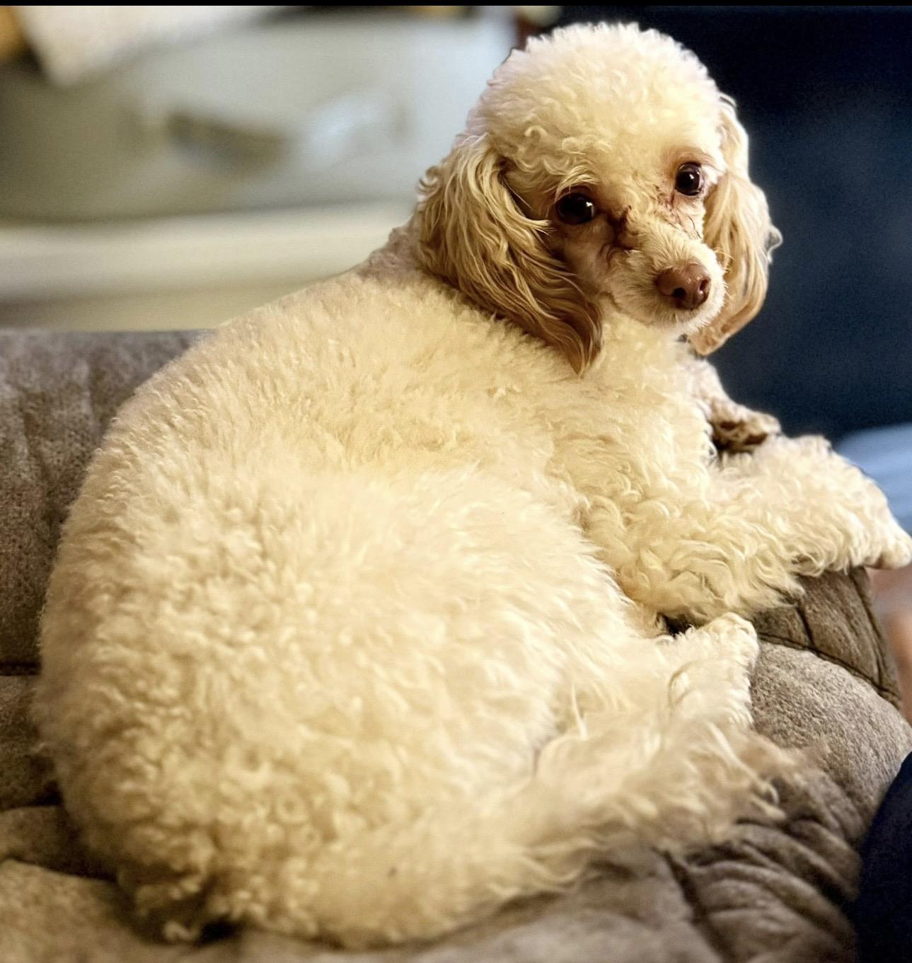 Ethel! Sweet Happy Girl!