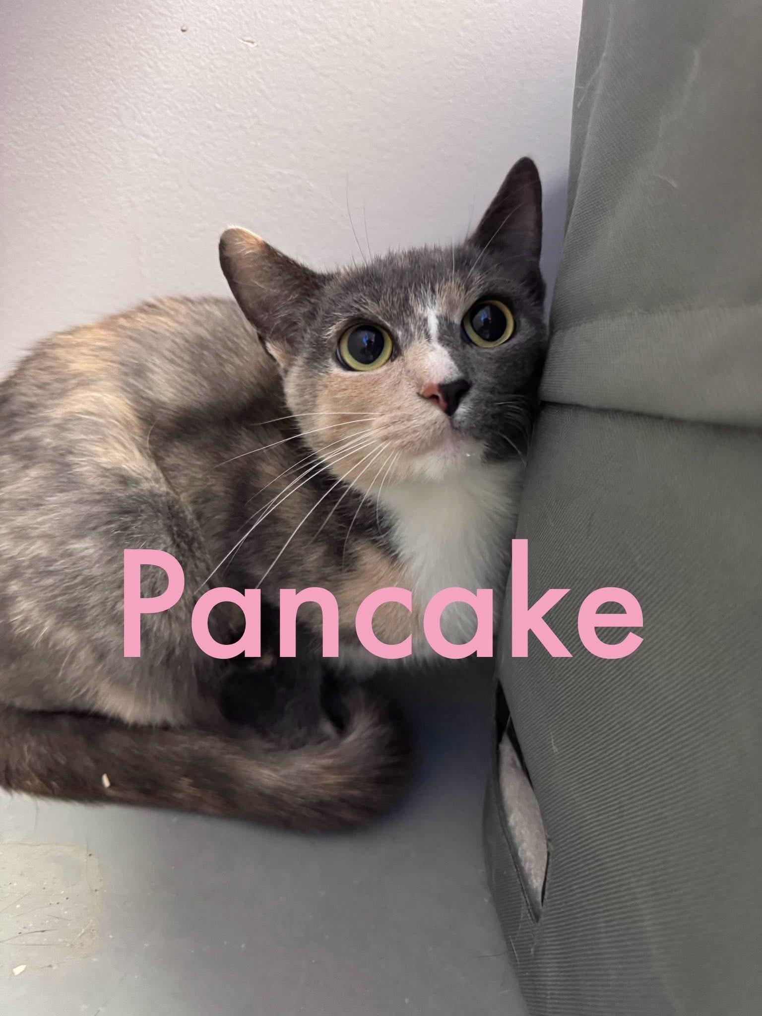 Pancake