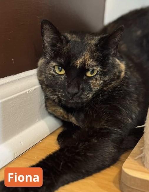 Fiona