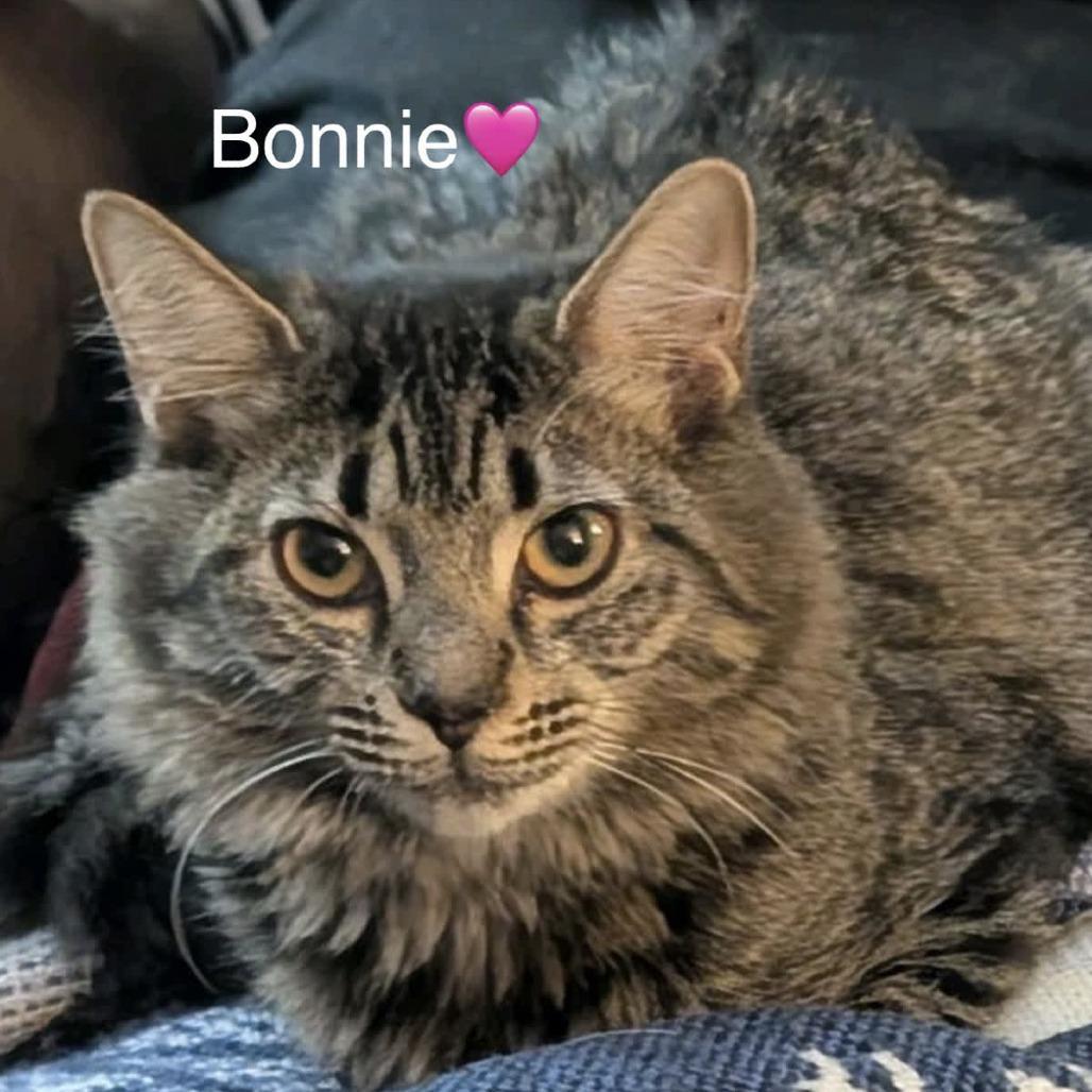 Bonnie