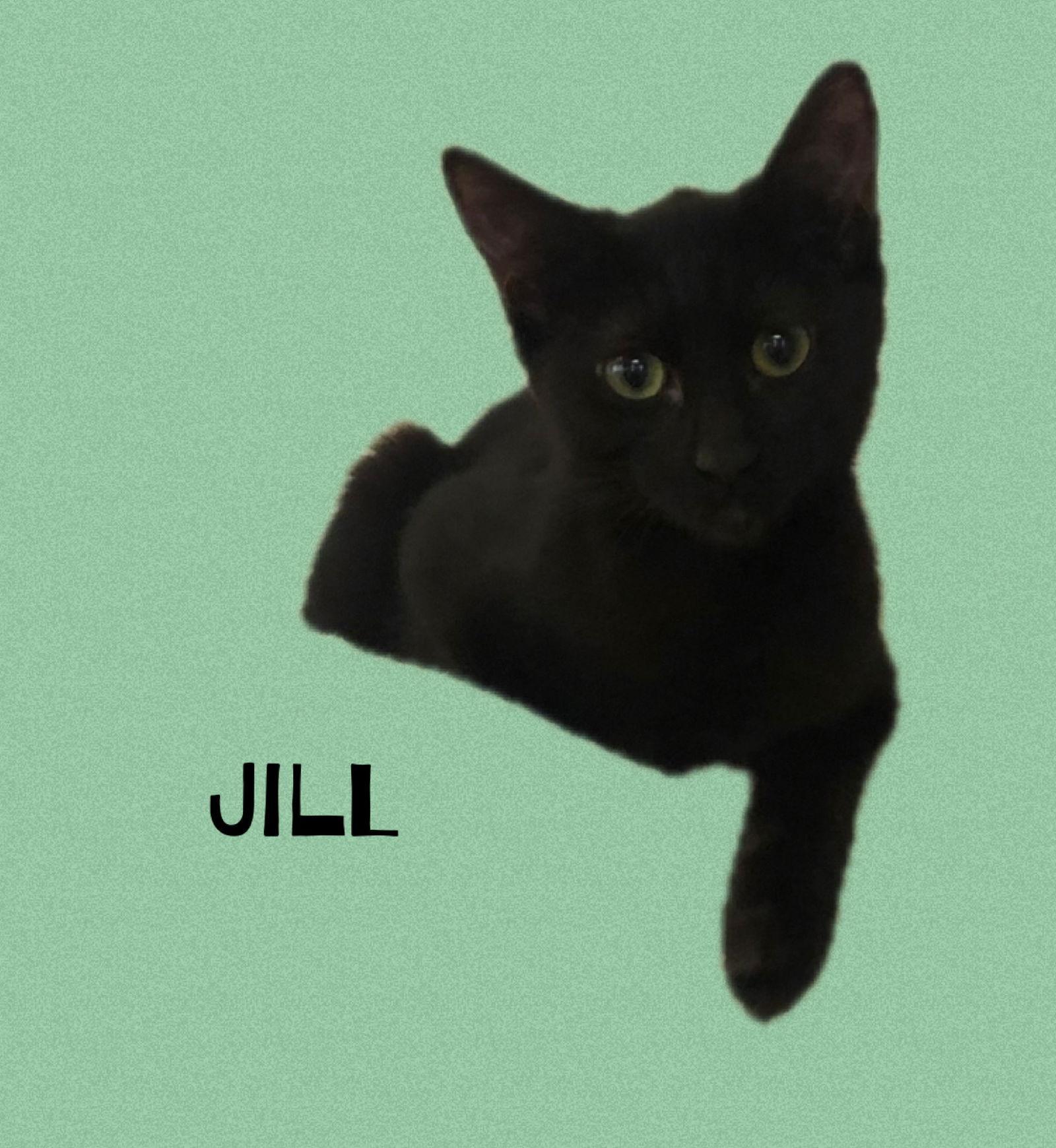 Jill