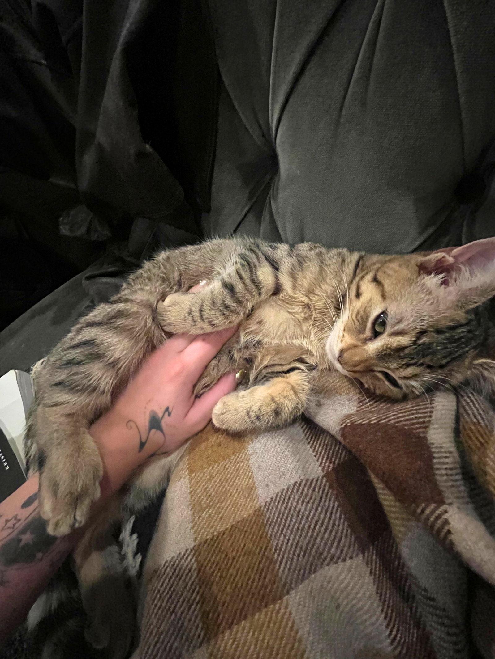 Dorian Dinghy & Tyler