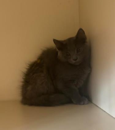 Funshine Bear photo 1