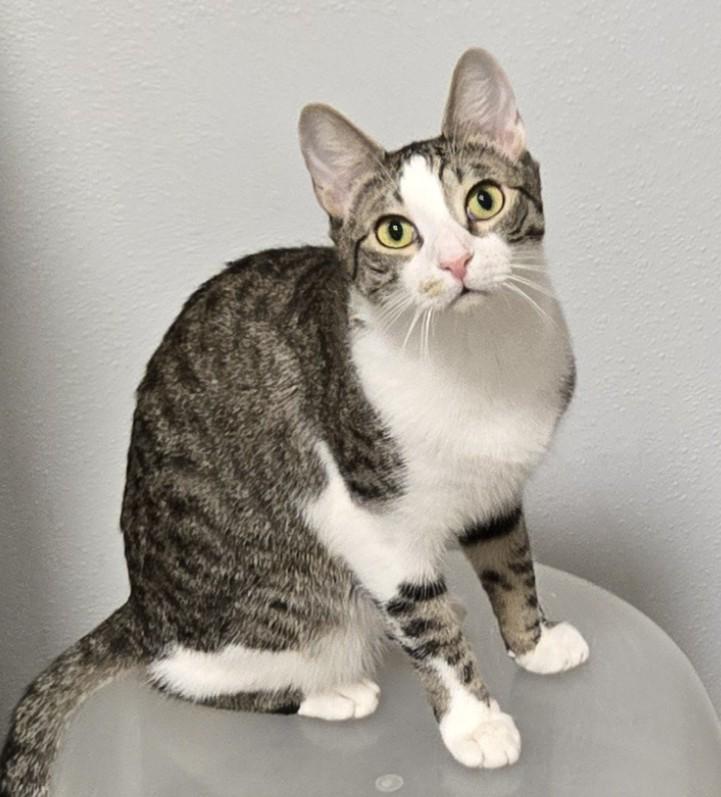 Travis Bonded With Tucker