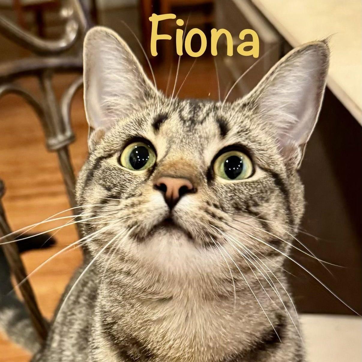 Fiona