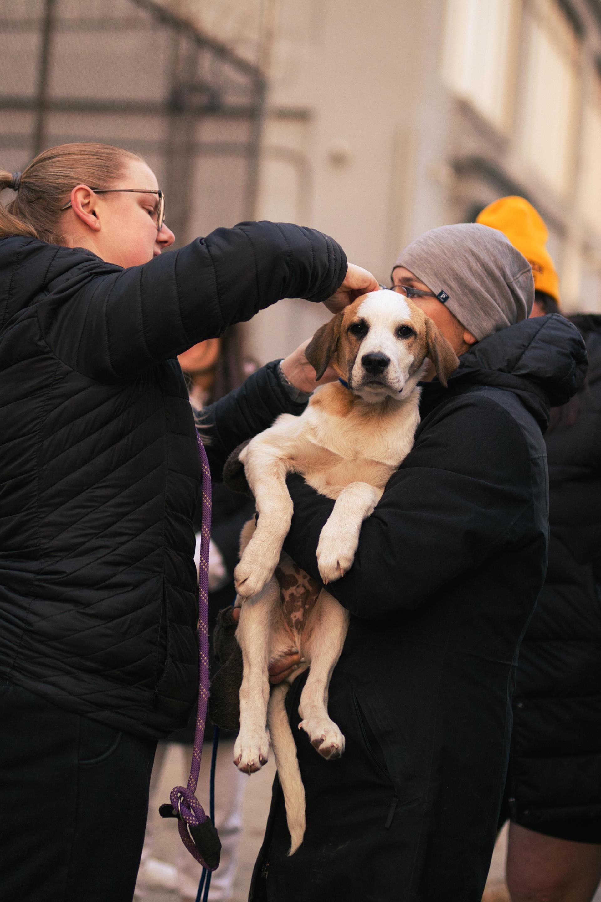 Bastille My Heart photo 1