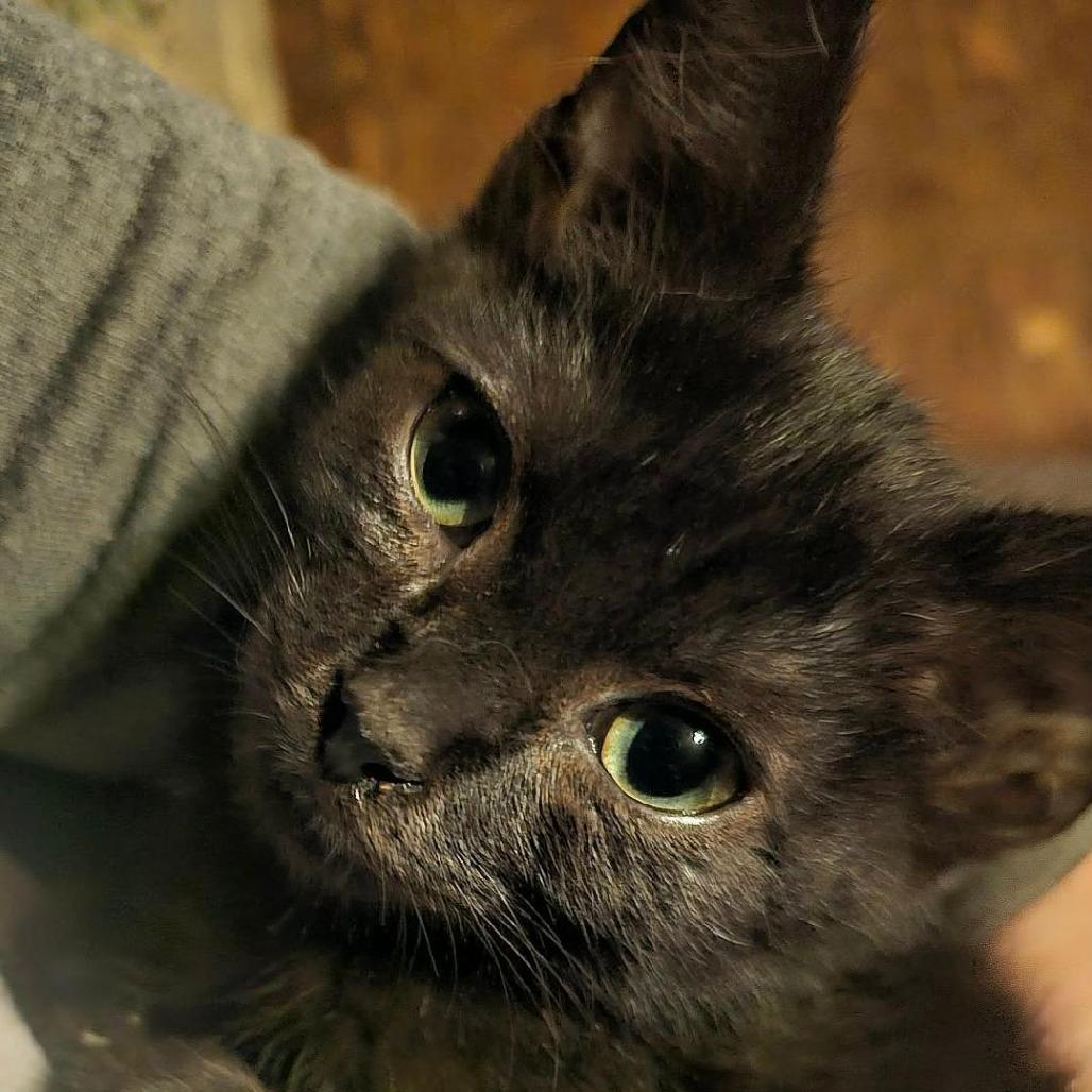 My Therapist Dr. Phil