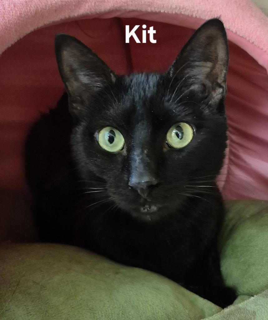 Kit