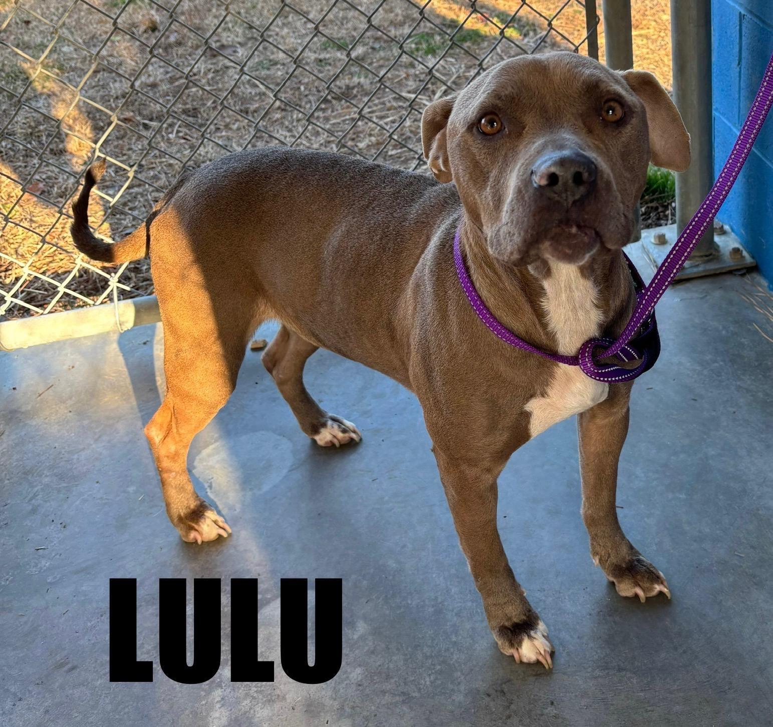 Lulu