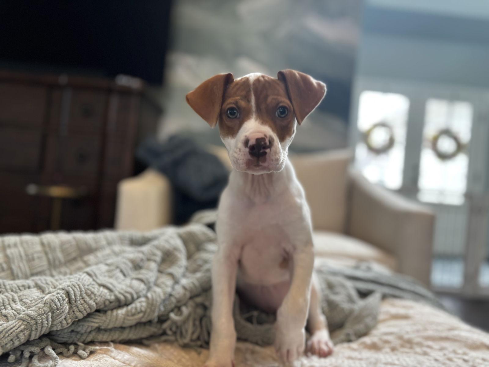 Gracie Stevens photo 1