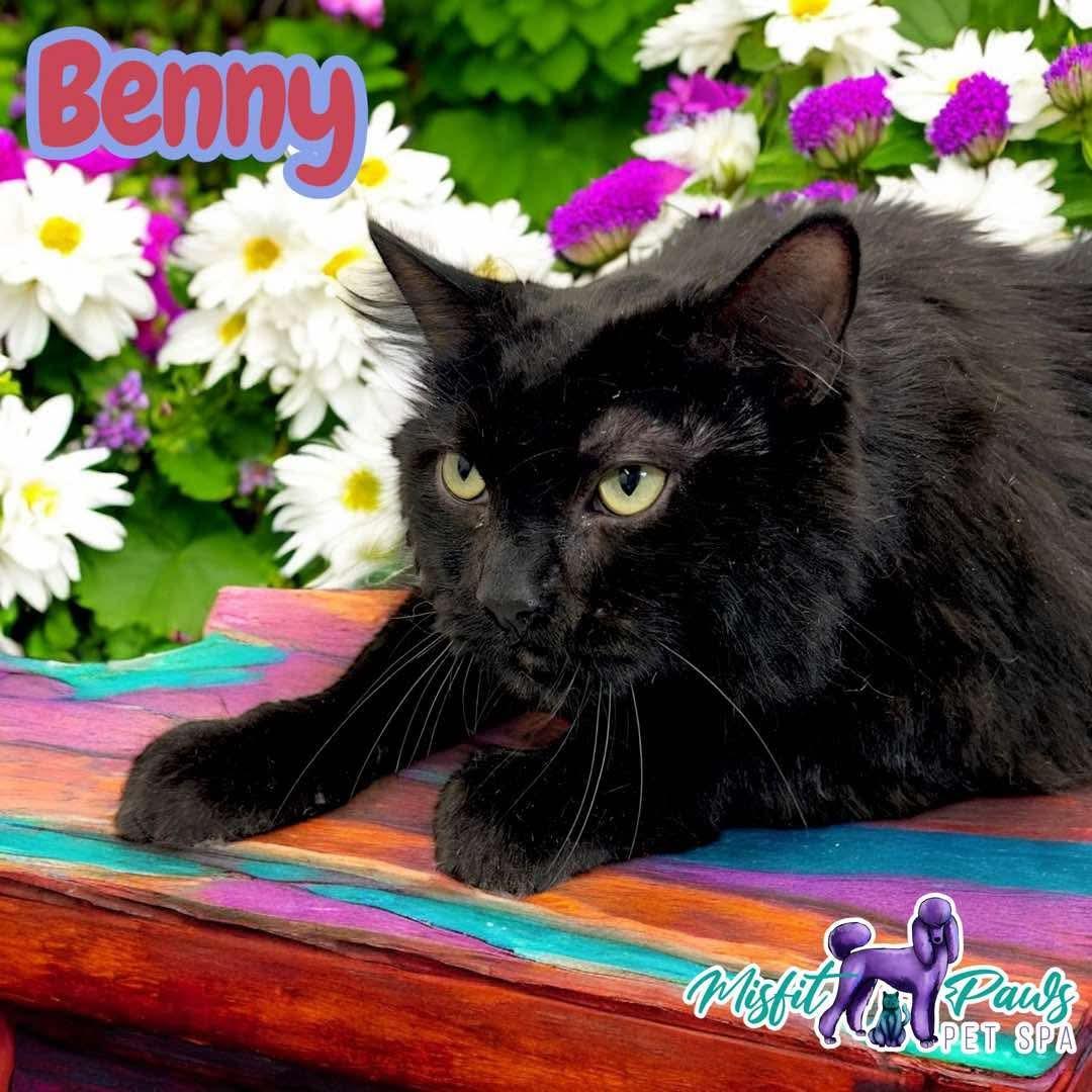 Benny