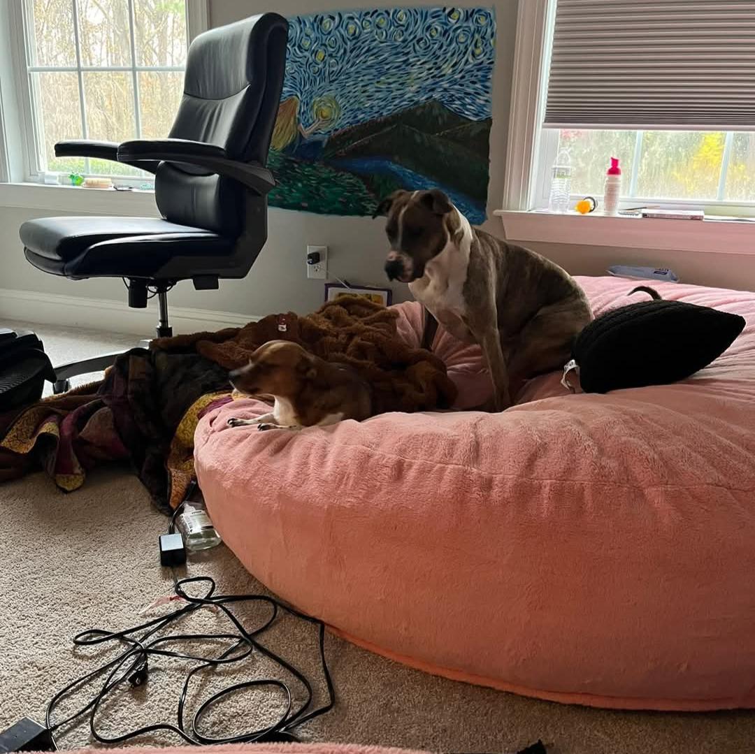 Jimmy Louisiana Litter