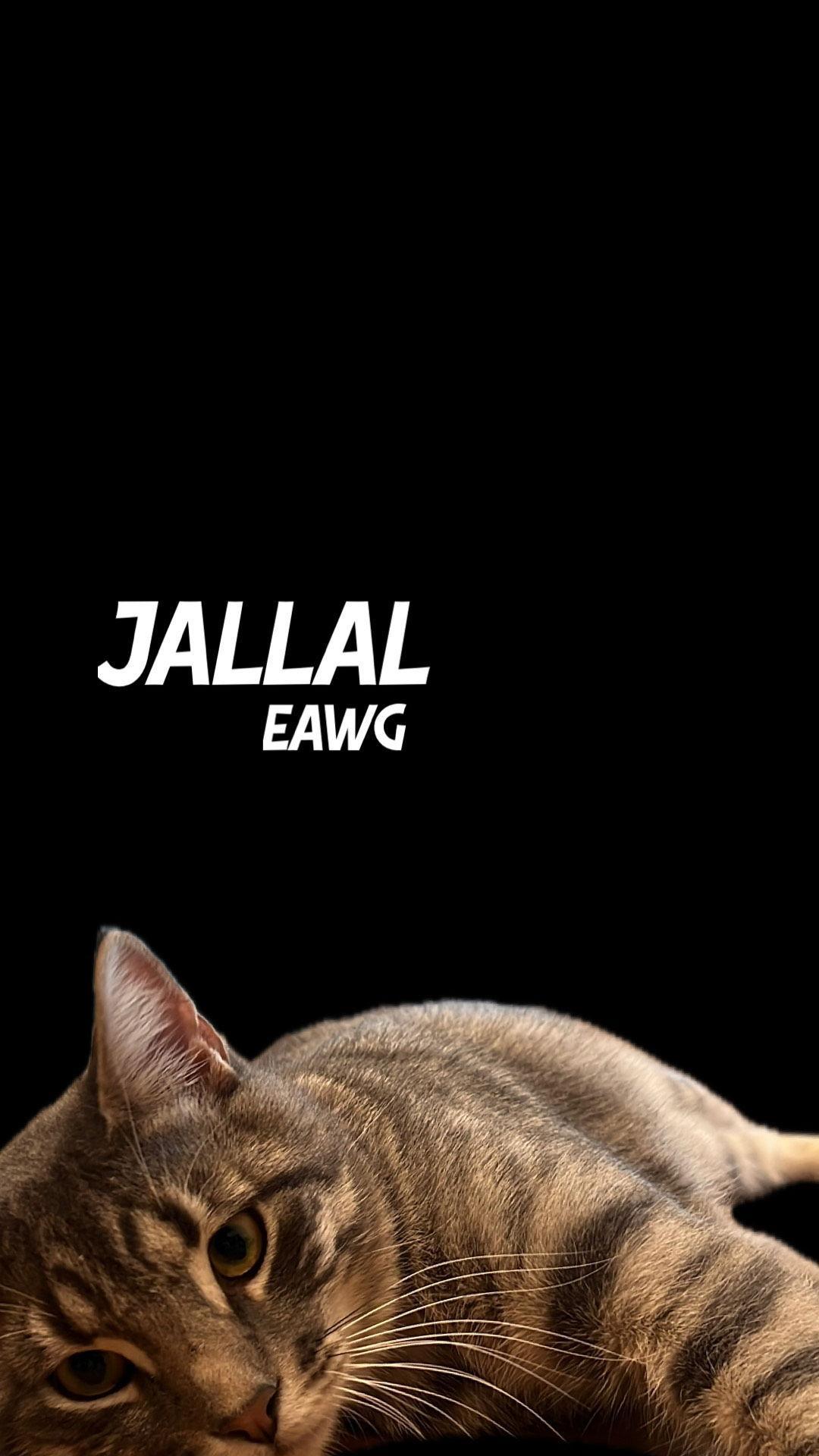 Jallal