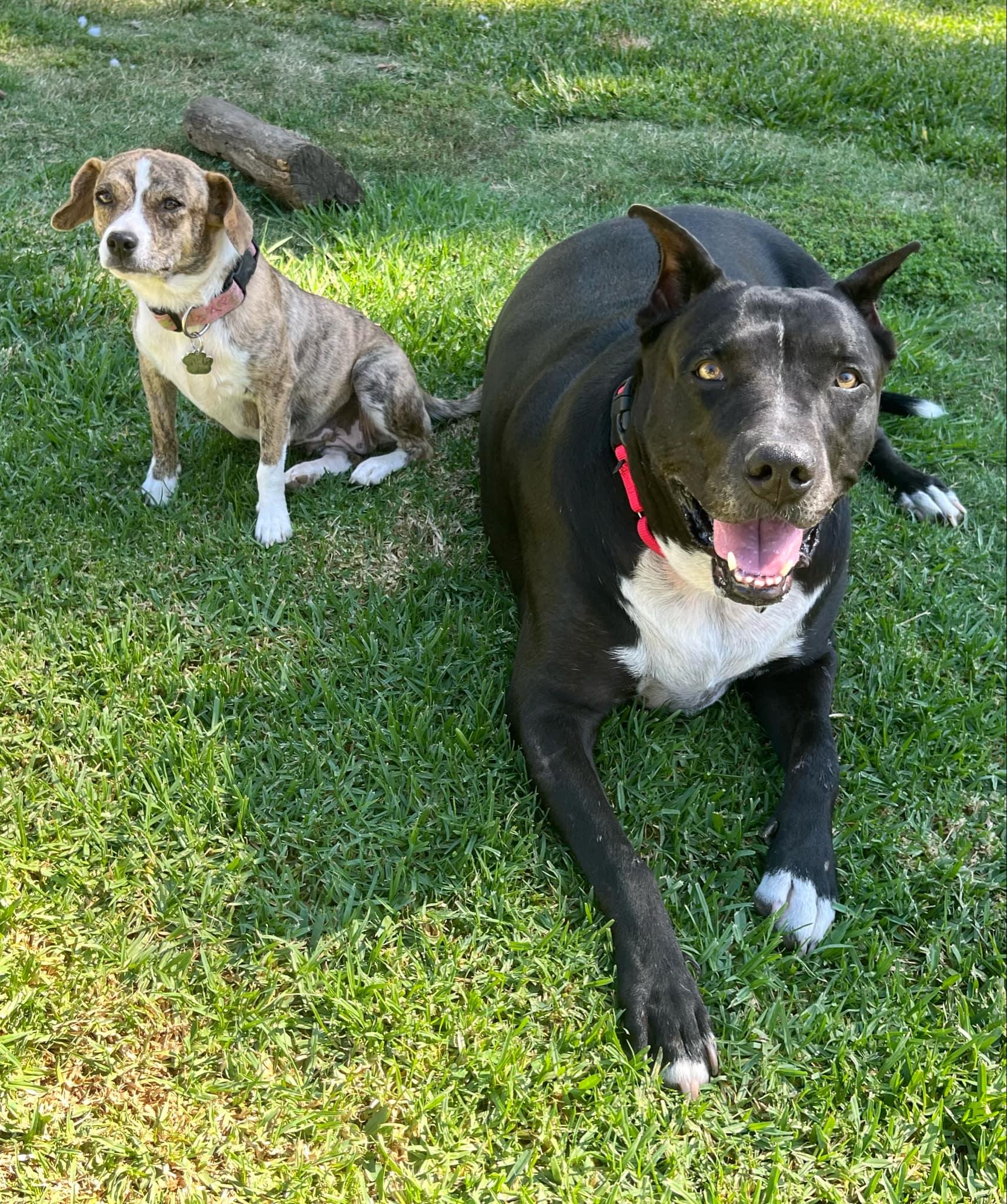 Nat King Cole Coal!!