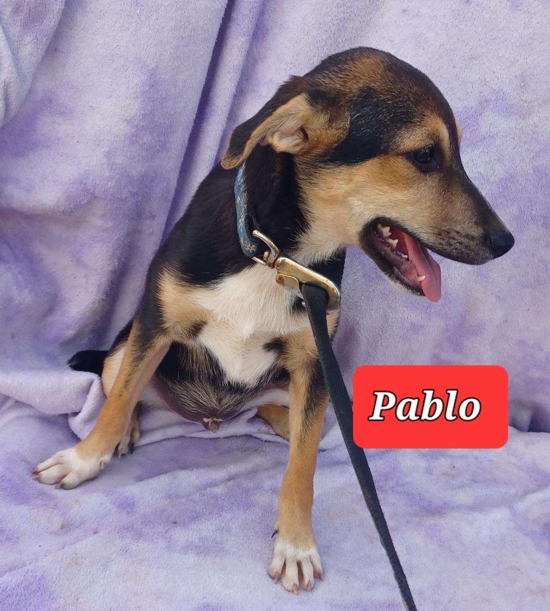 Pablo