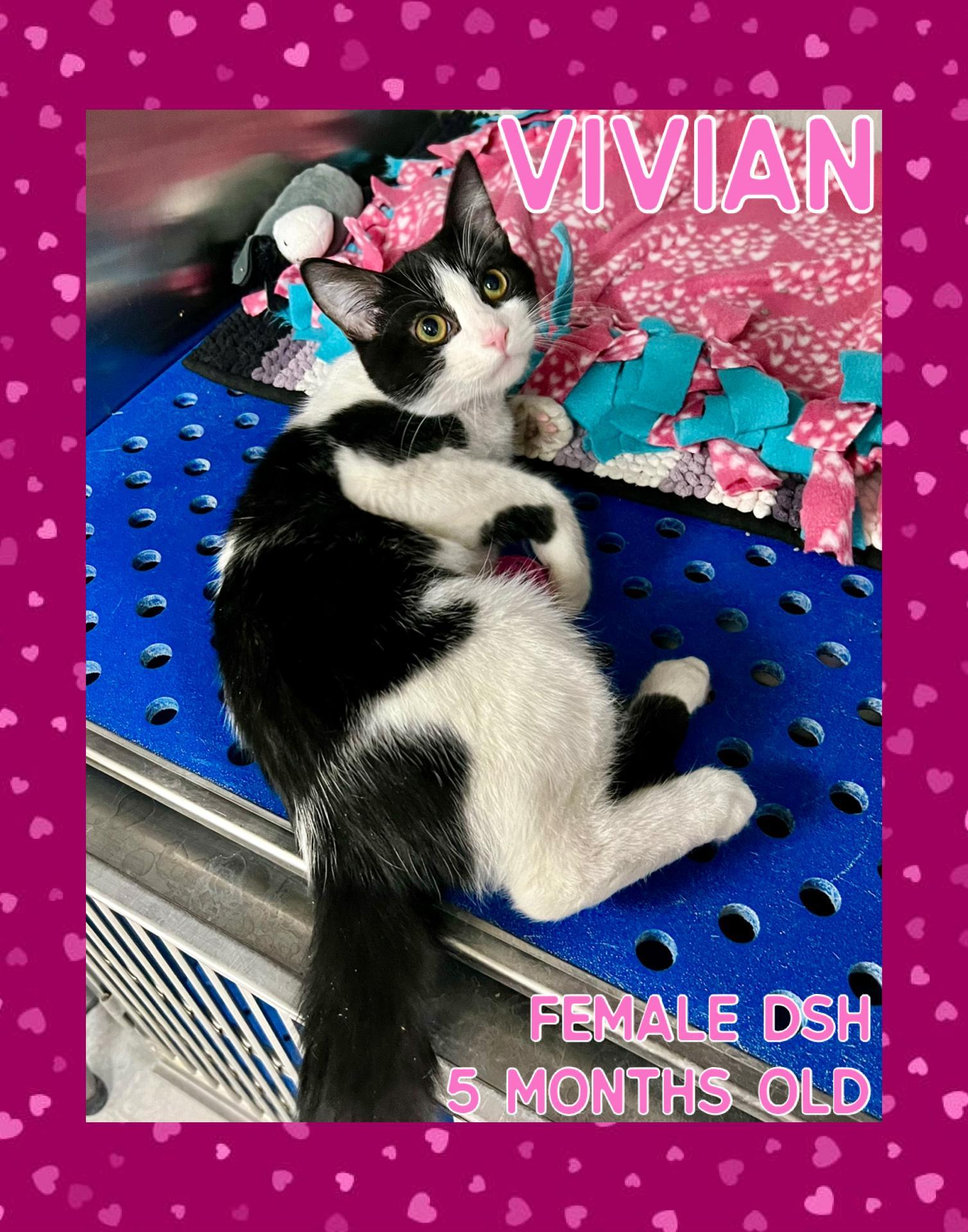 Vivian