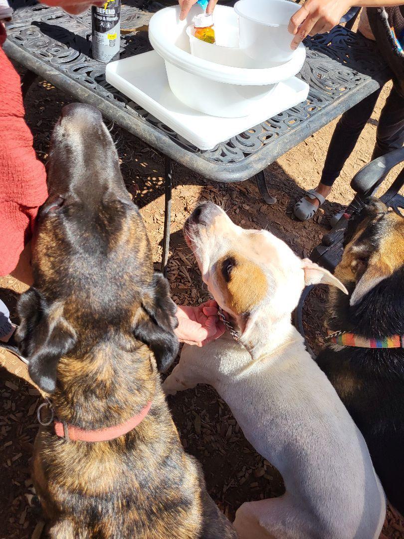 Hermes Zeus Greek God