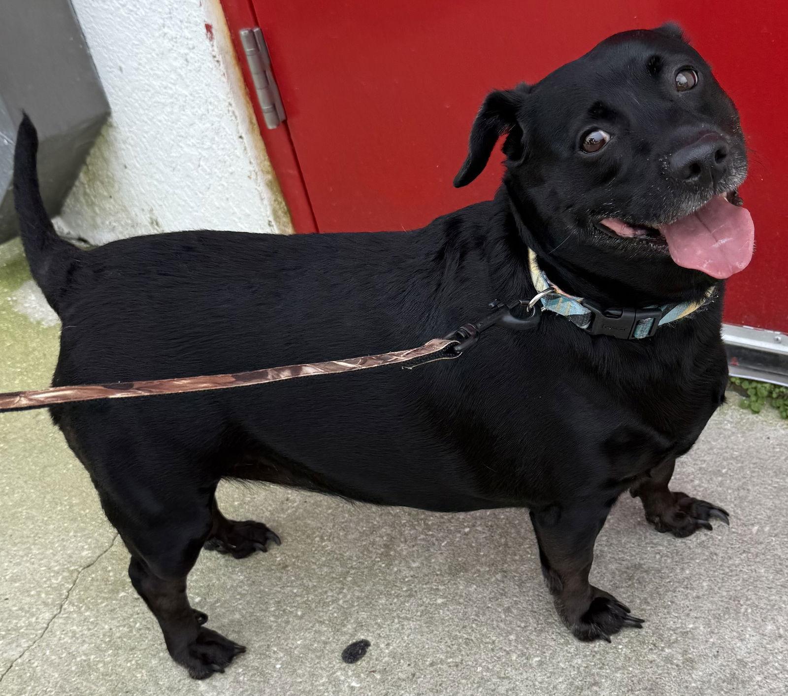 Sweet Pea Bonded With