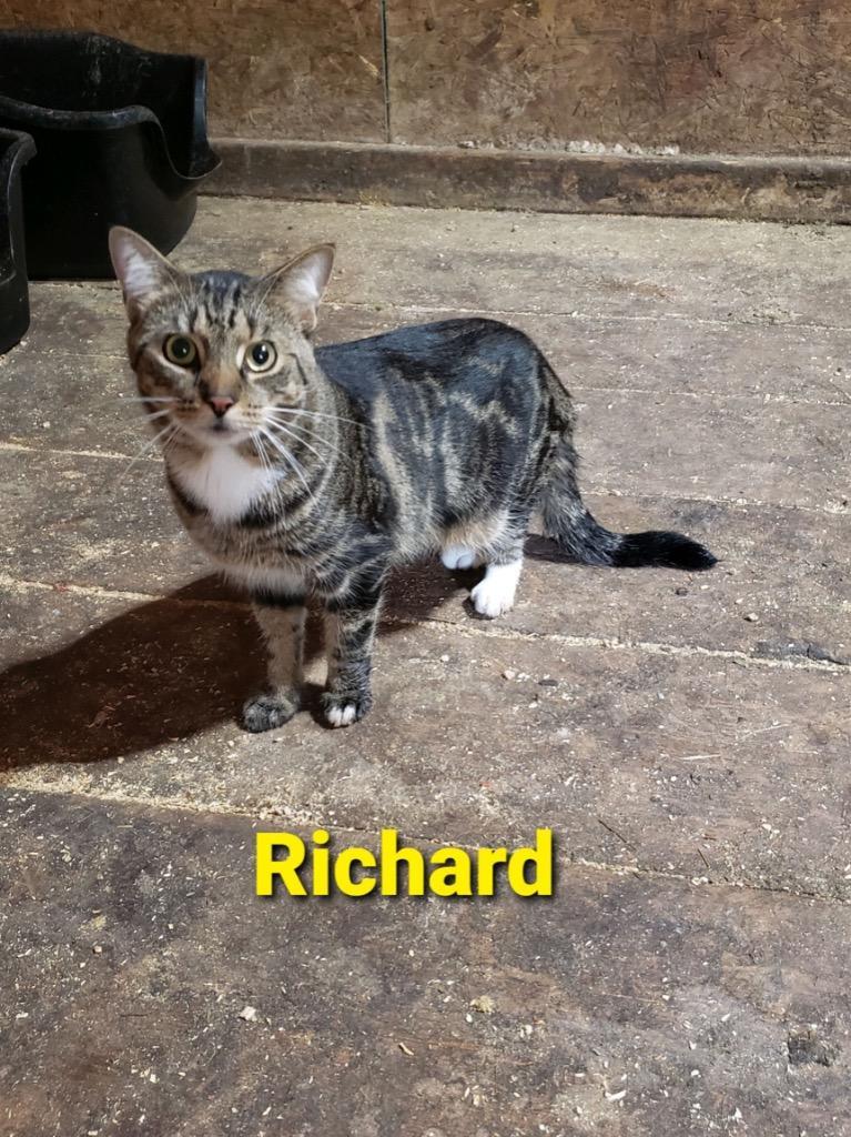 Richard