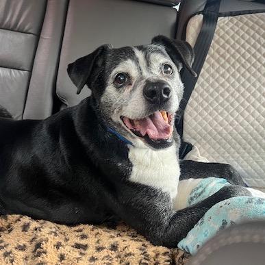 Jerry Garcia photo 1